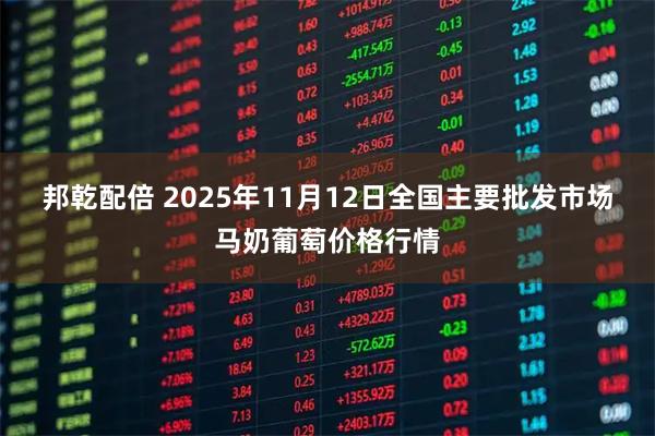邦乾配倍 2025年11月12日全国主要批发市场马奶葡萄价格行情