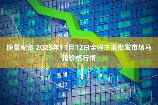 股巢配资 2025年11月12日全国主要批发市场马蹄价格行情
