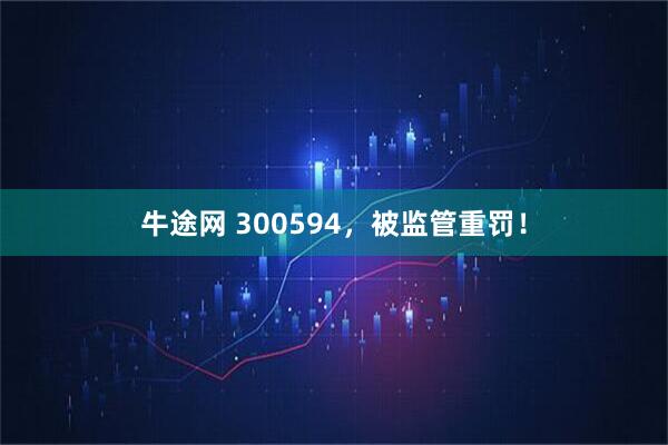 牛途网 300594，被监管重罚！